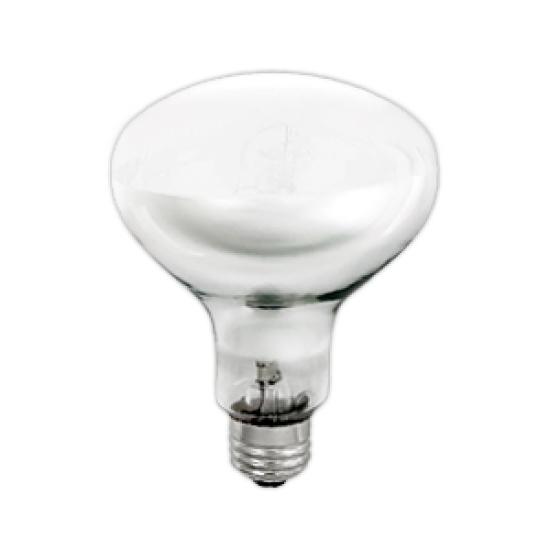 https://admin.pqlighting.com/images/bulbs/70304_web.jpg