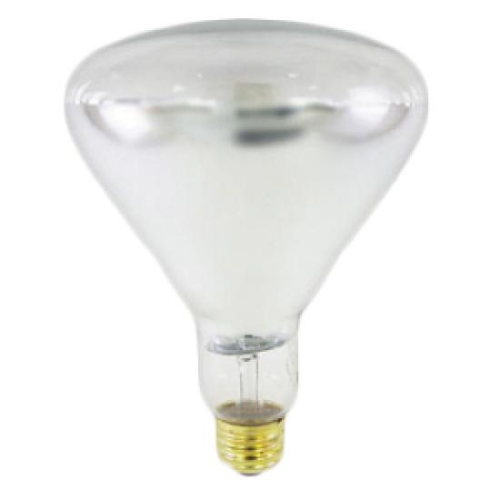 https://admin.pqlighting.com/images/bulbs/80502HT_web.jpg