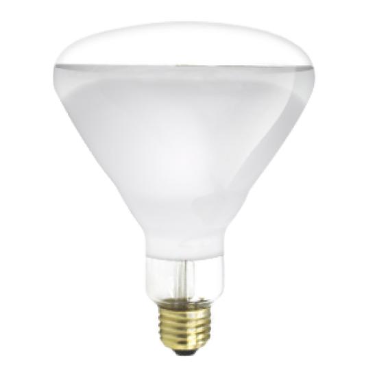 https://admin.pqlighting.com/images/bulbs/80505_web.jpg