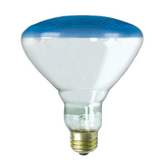 https://admin.pqlighting.com/images/bulbs/80557BLU_web.jpg