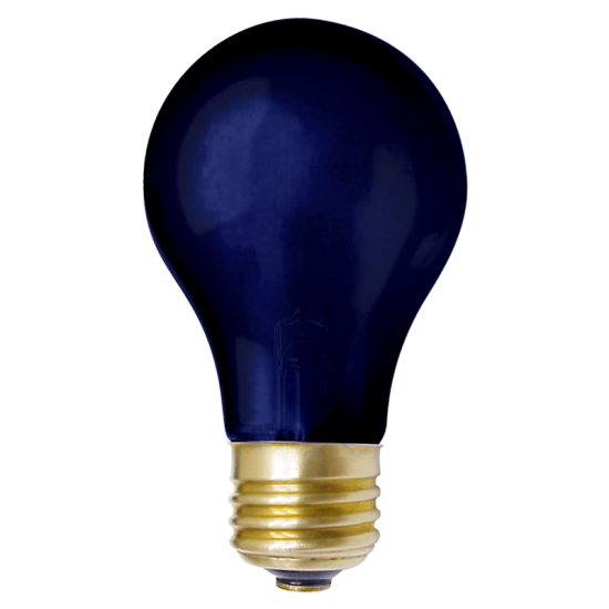 https://pqlighting.com/images/A19PTLB-main.png