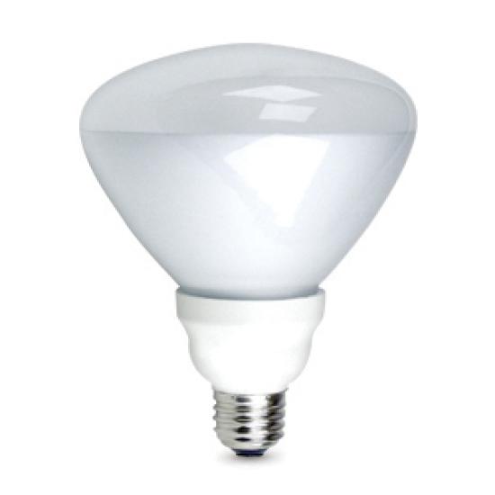 https://admin.pqlighting.com/images/bulbs/CFLBR40_web.jpg