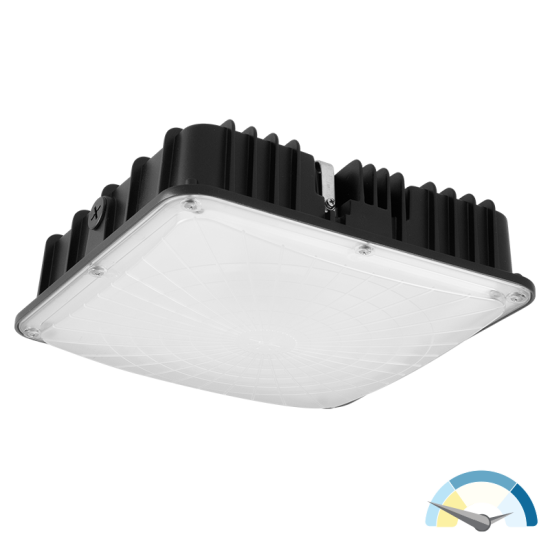 https://pqlighting.com/images/SScnpyblk-main.png
