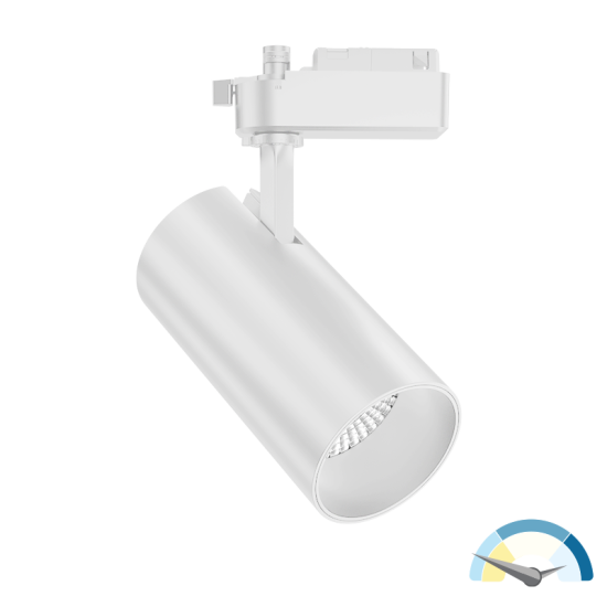 https://pqlighting.com/images/TRA1P15W-SS-main.png
