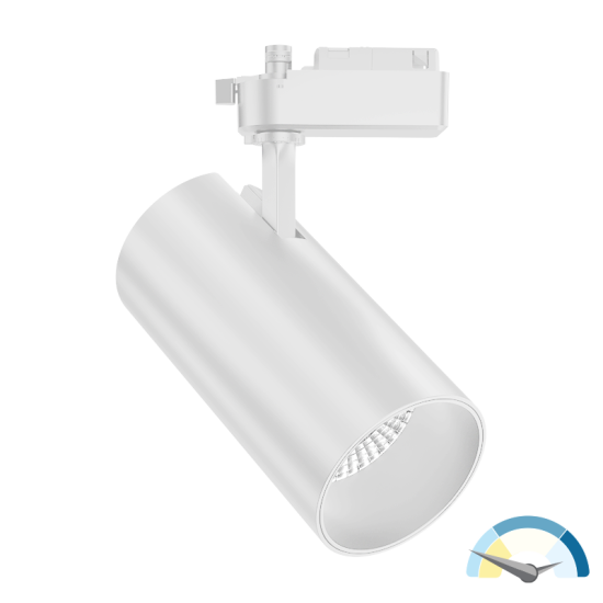 https://pqlighting.com/images/TRA1P25W-SS-main.png