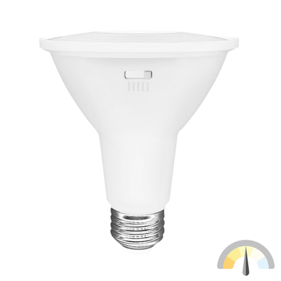https://pqlighting.com/images/TSPAR30LN-main.png
