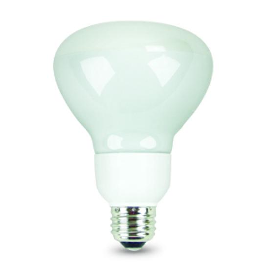 https://admin.pqlighting.com/images/bulbs/w_81305.jpg