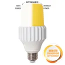 https://admin.pqlighting.com/images/bulbs/12WT21_web.jpg