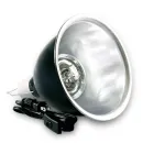 https://admin.pqlighting.com/images/bulbs/70305pa_web.jpg
