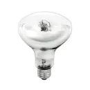 https://admin.pqlighting.com/images/bulbs/70313_web.jpg