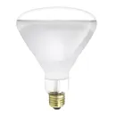 https://admin.pqlighting.com/images/bulbs/80505_web.jpg