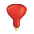 https://admin.pqlighting.com/images/bulbs/80506_web.jpg