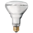 https://pqlighting.com/images/BR30CB-main.png