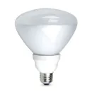 https://admin.pqlighting.com/images/bulbs/CFLBR40_web.jpg