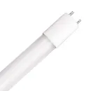 https://admin.pqlighting.com/images/bulbs/LEDT8FRSC_web.jpg