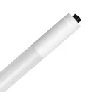 https://admin.pqlighting.com/images/bulbs/LEDT8RDCV2_web.jpg