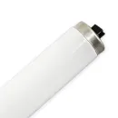 https://admin.pqlighting.com/images/bulbs/T12RDC_web.jpg