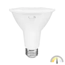 https://pqlighting.com/images/TSPAR30LN-main.png