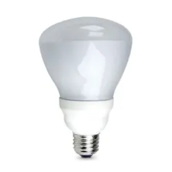 https://admin.pqlighting.com/images/bulbs/CFLBR30_web.jpg
